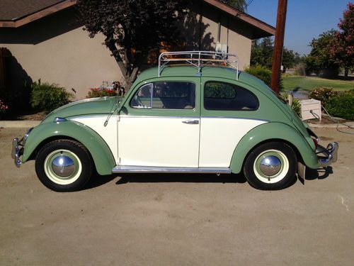 Classic vw bug