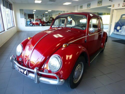 1966 vw beetle