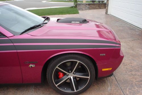 2010 dodge challenger furious fuchsia