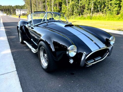 1965 Shelby Cobra, US $46,500.00, image 29