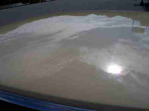 1979 Chevrolet Caprice, image 10