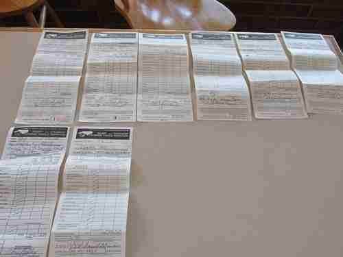 1979 Chevrolet Caprice, image 13