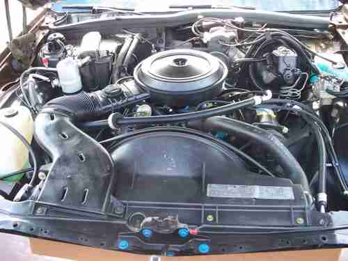 1979 Chevrolet Caprice, image 19