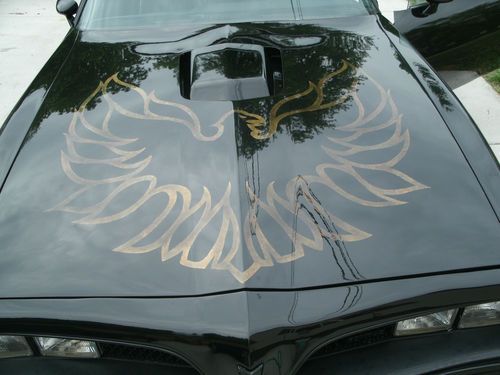 1981 black custom pontiac trans am with t-tops. originally a turbo car. 408 chev