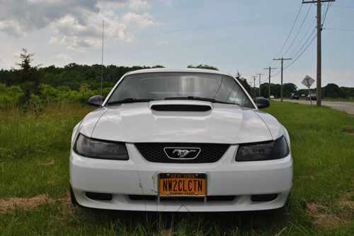 2004 FORD MUSTANG GT 40 ANNIVERSARY LOW MILES, image 3