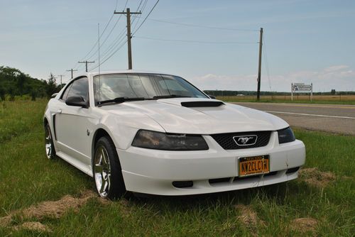 2004 FORD MUSTANG GT 40 ANNIVERSARY LOW MILES, image 4