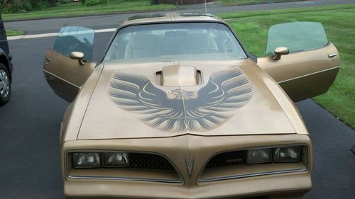 1978 pontiac trans am gold edition