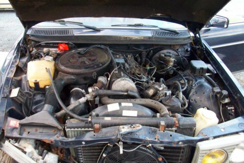 1983 Mercedes 300D TurboDiesel : 20kmi original, image 3
