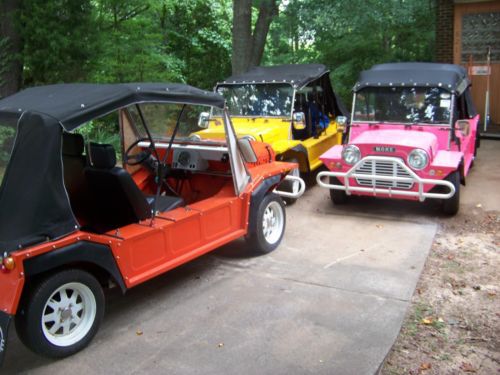 Mini moke. in north carolina