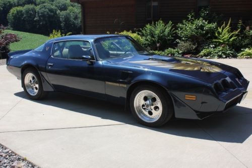 1981 pontiac firebird trans am ws6