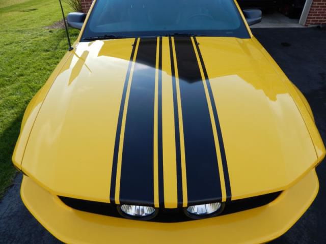 Ford Mustang GT, US $8,000.00, image 2