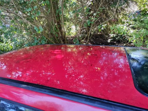 1998 Volkswagen Golf, US $49.00, image 5