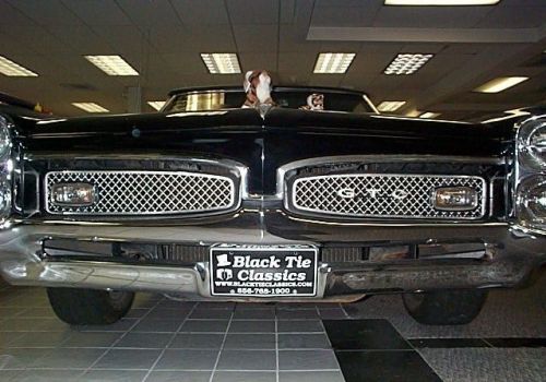 1967 Pontiac GTO Royal Bobcat, US $79,999.00, image 36