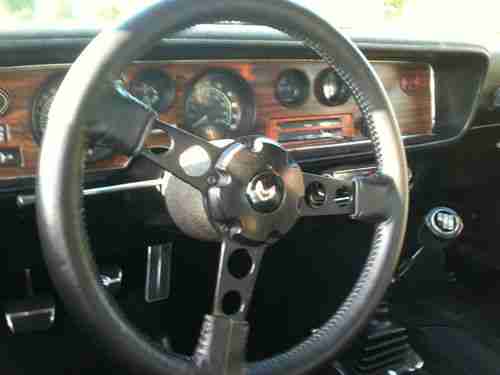 1975 Pontiac Firebird Formula 350 Tribute 4 SPEED!!!!!!!!!, US $10,500.00, image 14