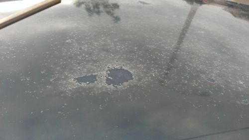 DX hatchback, image 17