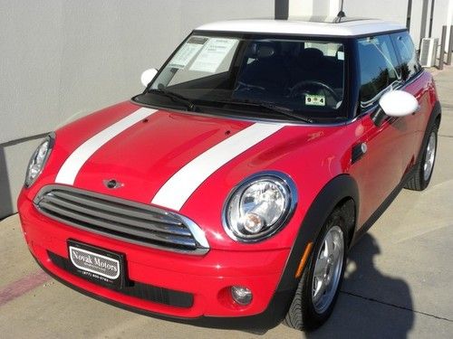 2010 mini