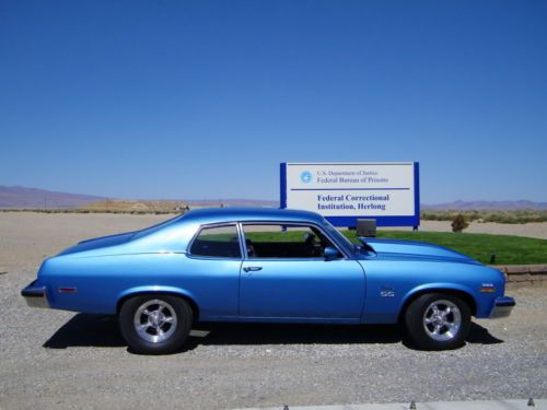 1973 chevrolet (clone)