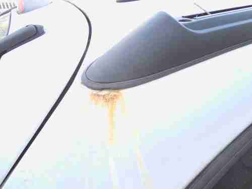1999 Ford Taurus, image 5