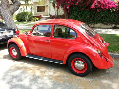 Vm beetle