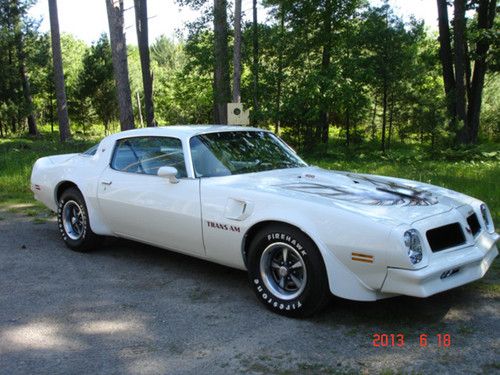 1976 pontiac firebird trans am coupe 2-door 6.6l