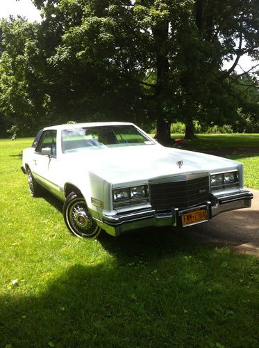 White and blue cadilac beauty