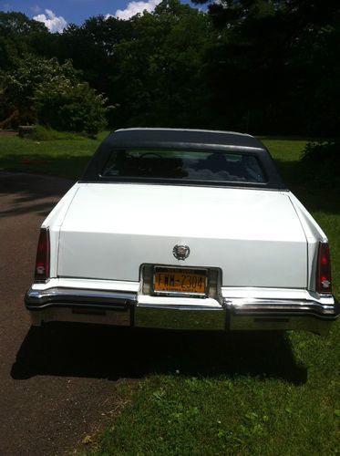 White and Blue Cadilac Beauty, US $6,000.00, image 3