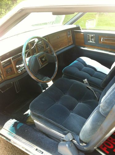 White and Blue Cadilac Beauty, US $6,000.00, image 4