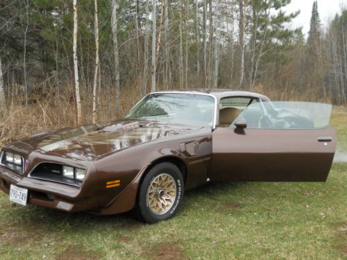 1977 pontiac trans am 6.6l