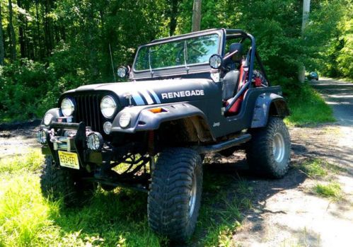 1979 jeep cj5 renegade sport utility 2-door 5.0l