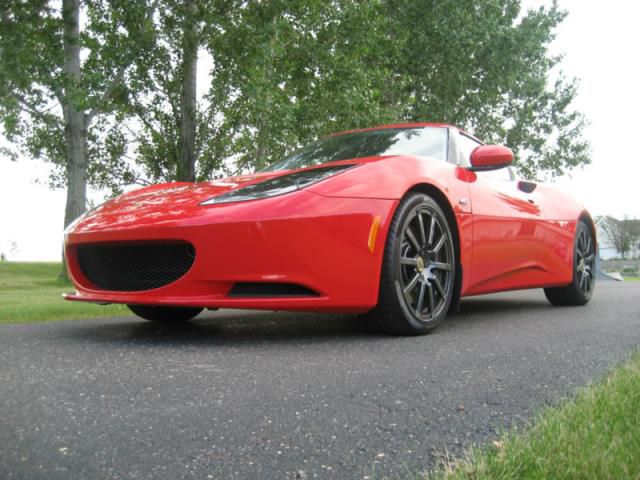 Lotus evora evora