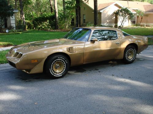 1981 trans-am rust free show condition! rare 5.0 litre edition