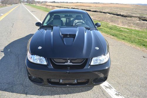 03 svt cobra no reserve!!!