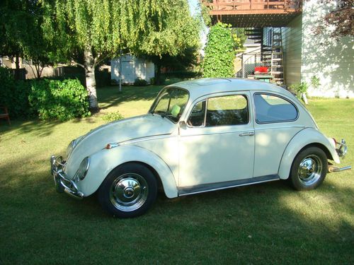 1966 vw beetle