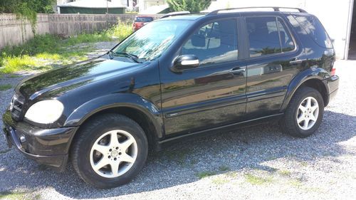 2002 mercedes-benz ml500 amg sport  4-door 5.0l awd