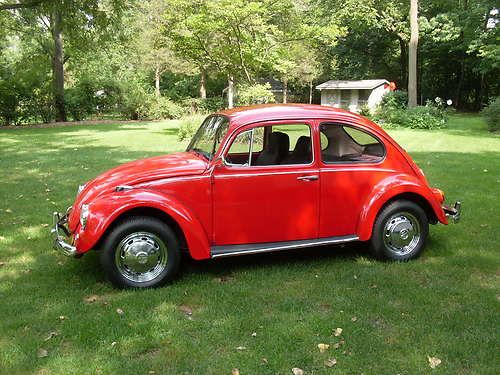 1969 volkswagon bettle - classic bug