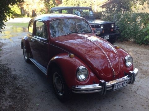 1969 volkswagen beetle base 1.5l