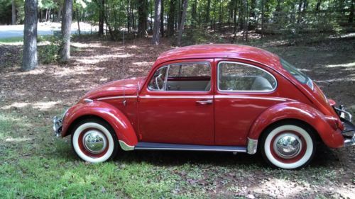 Fully restored 1966 volkswagen beetle bug vw classic