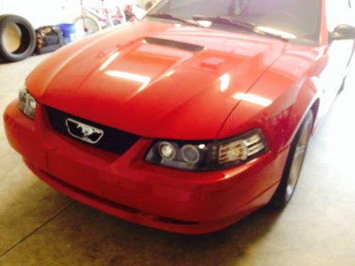 1999 Ford Mustang GT, image 10