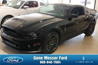 2014 ford mustang 2dr cpe shelby gt500