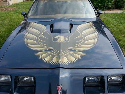 1979 trans am firebird 6.6 with ws6 t-tops loaded