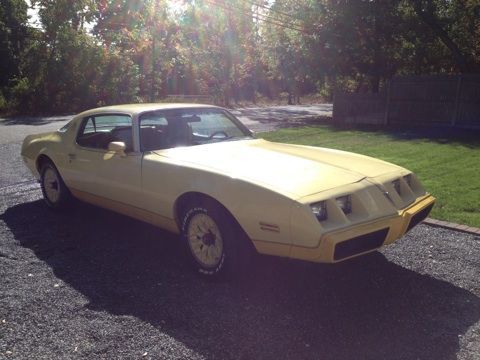 1980 pontiac firebird esprit coupe 2-door 4.9l