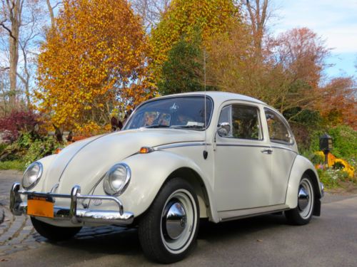 1965 volkswagen  beetle  / classic beetle / vw / restored / classic car / 1965