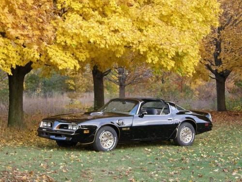 1977 pontiac trans am se y82 w72 "smokey and the bandit"