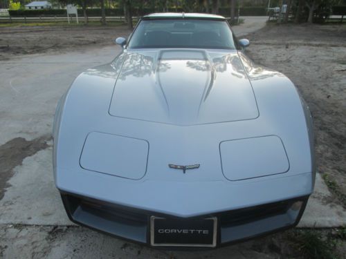 1981 Chevrolet Corvette, US $20,500.00, image 8