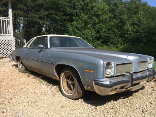 1974 pontiac lemans luxury 350 v8