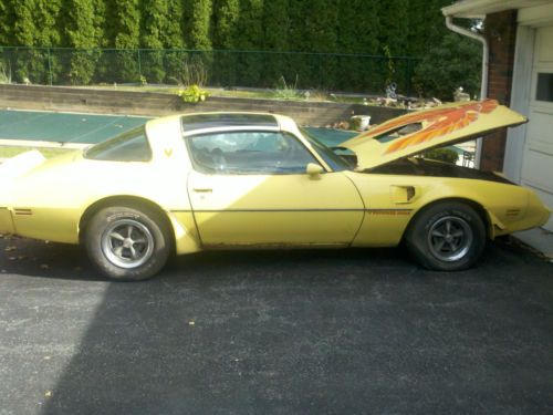 1979 pontiac firebird trans am coupe 2-door 6.6l