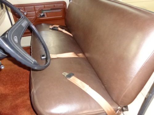 1974 Ford F100, image 15