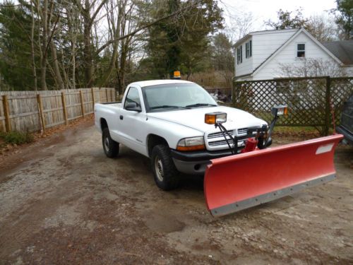 1998 dodge dakota base standard cab pickup 2-door 3.9l plow truck