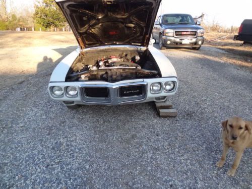 1969 Firebird Trans Am, image 4