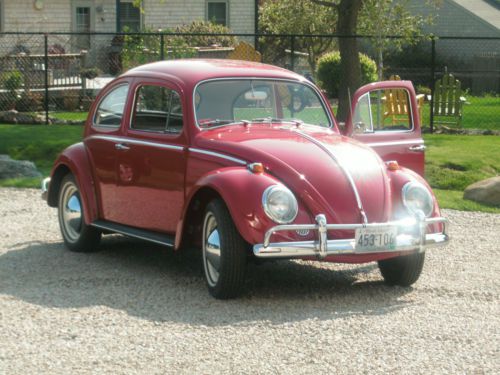 1964 vw beetle